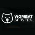 (English) Wombat Servers logo
